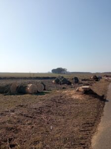 KM OK 11+000 - 12+000